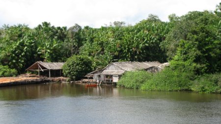 Casa de ribeirinho, as margens do Amazonas. Foto: Marcos Bonas