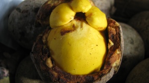 Fruta Amazonia - Ver-o-Peso