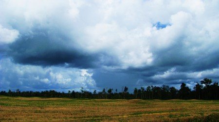 Campo de grãos - próximo a divisa entre Pará e Maranhão